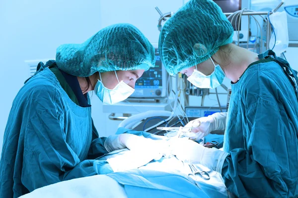 Dois cirurgiões veterinários na sala de operações — Fotografia de Stock