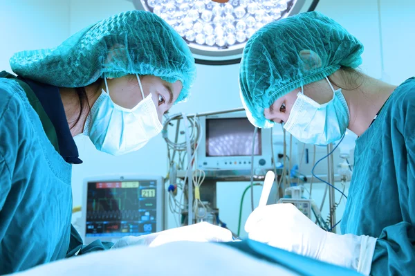 Dwóch lekarzy weterynarii na sali operacyjnej — Zdjęcie stockowe
