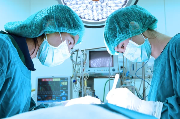 Dois cirurgiões veterinários na sala de operações — Fotografia de Stock