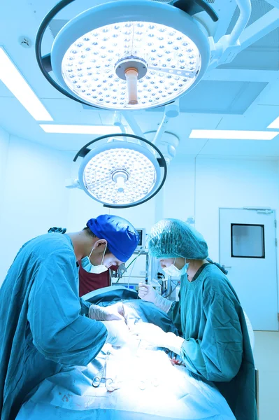 Dois cirurgiões veterinários na sala de operações — Fotografia de Stock