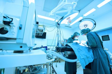 Ameliyathanede iki veteriner cerrah var.