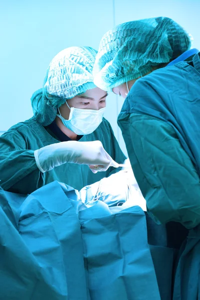 Δύο κτηνίατροι χειρουργοί στο χειρουργείο — Φωτογραφία Αρχείου