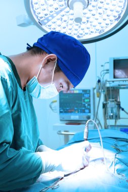 Veteriner Cerrahi operasyon odasında