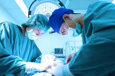 Ameliyathanede iki veteriner cerrah var.