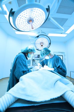 Ameliyathanede iki veteriner cerrah var.