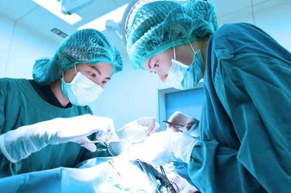 Dois cirurgiões veterinários na sala de operações — Fotografia de Stock