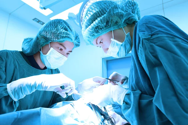 Dois cirurgiões veterinários na sala de operações — Fotografia de Stock