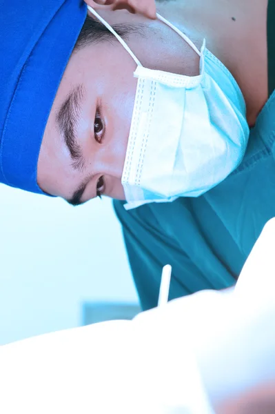 Cirugía veterinaria en sala de operaciones — Foto de Stock