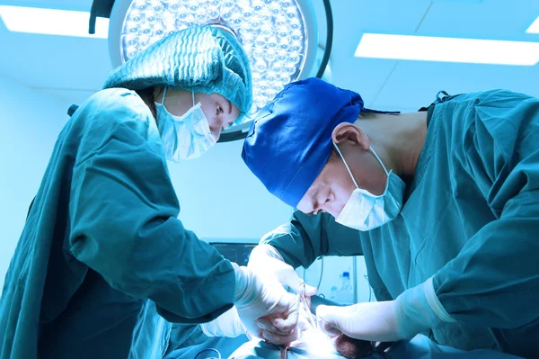 To veterinærer i operasjonssalen – stockfoto