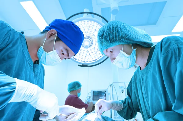 Grupo de cirurgia veterinária na sala de operação — Fotografia de Stock