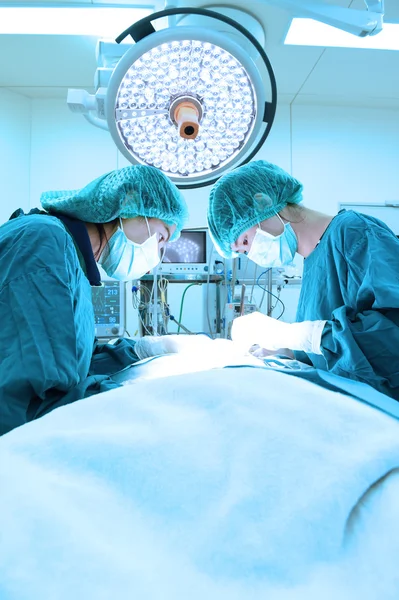 Two veterinarian surgeons in operating room — Stock Photo, Image