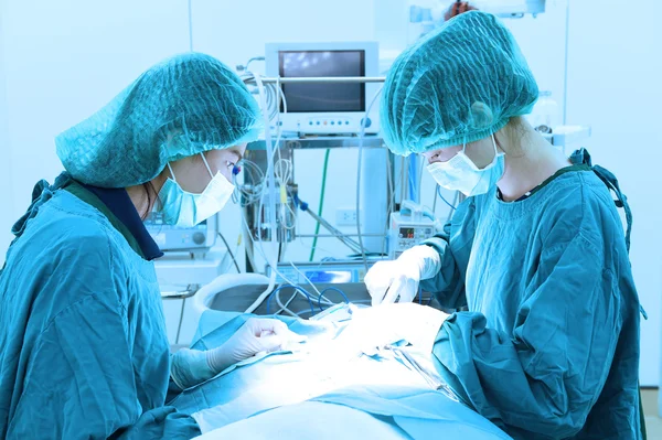 Two veterinarian surgeons in operating room — Stock Photo, Image