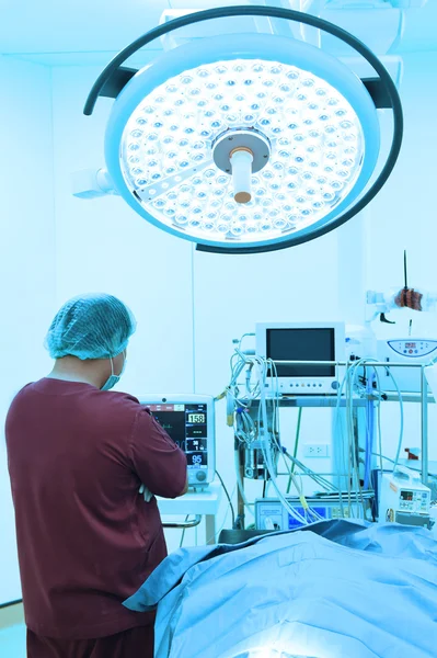 Assistente veterinário na sala de operações — Fotografia de Stock