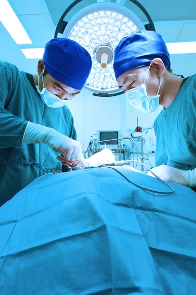 Dois cirurgiões veterinários na sala de operações — Fotografia de Stock