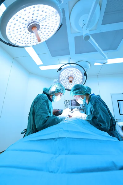 Dos veterinarios en quirófano — Foto de Stock