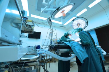 Ameliyathanede iki veteriner cerrah var.