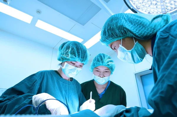 Grupo de cirurgia veterinária na sala de operação — Fotografia de Stock