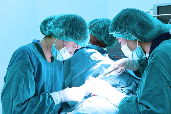 Grupo de cirurgia veterinária na sala de operação — Fotografia de Stock