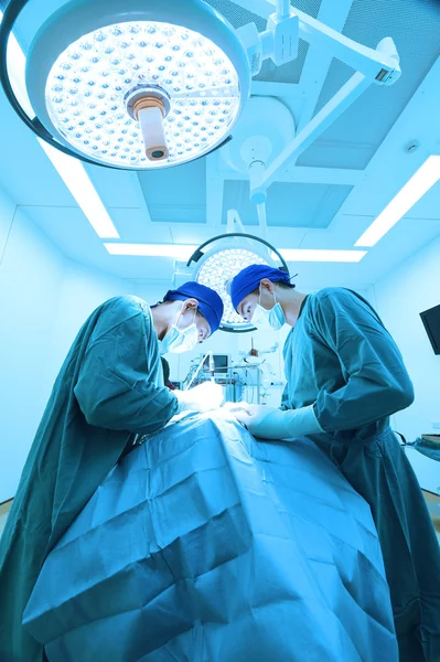 Zwei Tierärzte im Operationssaal — Stockfoto