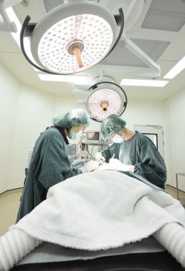 Ameliyathanede iki veteriner cerrah var. 