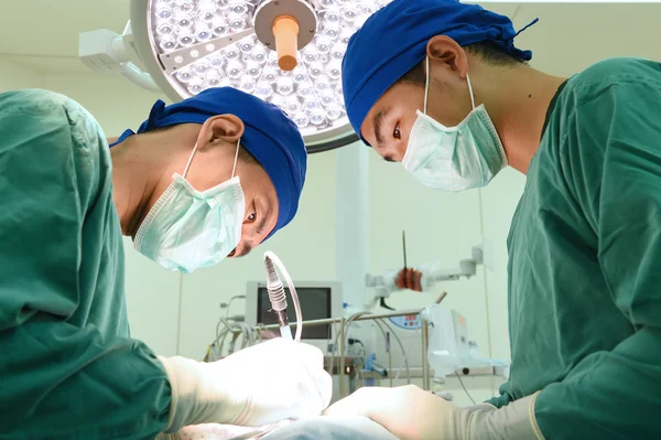 Dois cirurgiões veterinários na sala de operações — Fotografia de Stock