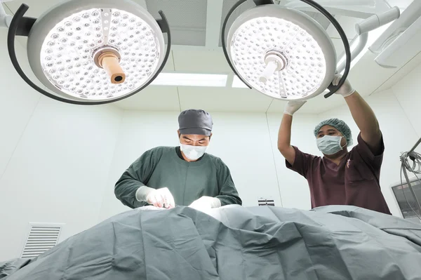 To dyrlæger i operationsstuen - Stock-foto