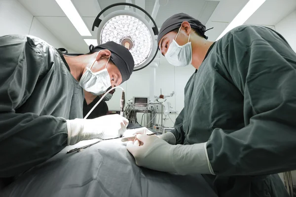 Dois cirurgiões veterinários na sala de operações — Fotografia de Stock