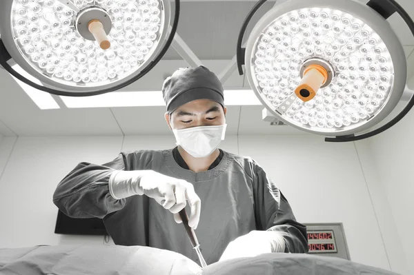 Veterinarian surgery in operation room — Stock Photo, Image