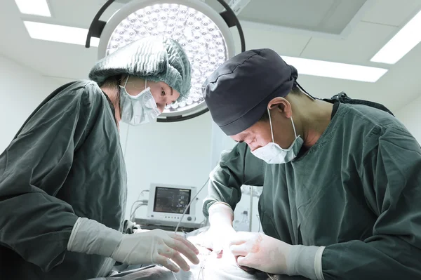 Two veterinarian surgeons in operating room — Stock Photo, Image