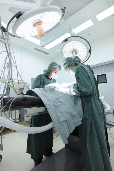 Twee dierenartsen in de operatiekamer — Stockfoto
