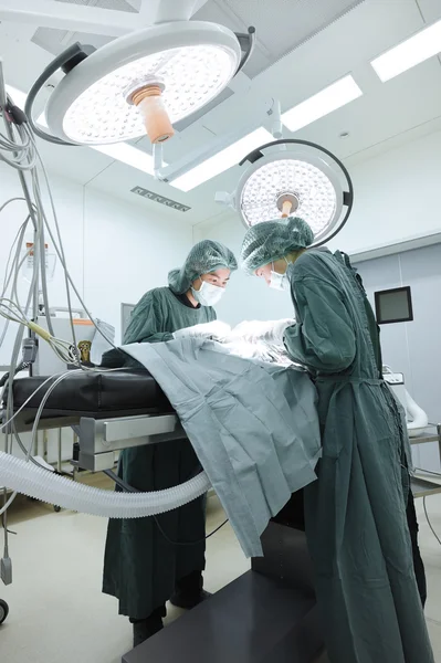 Dois cirurgiões veterinários na sala de operações — Fotografia de Stock