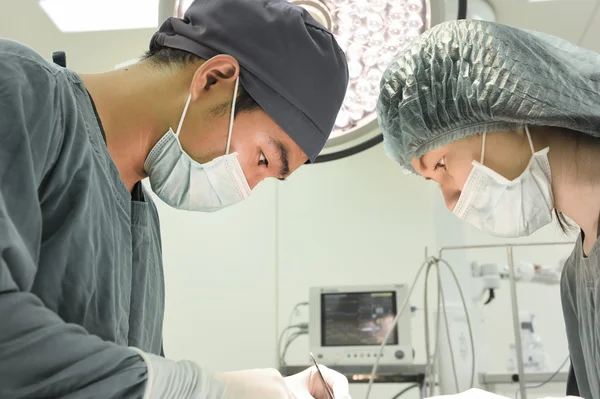 Dois cirurgiões veterinários na sala de operações — Fotografia de Stock