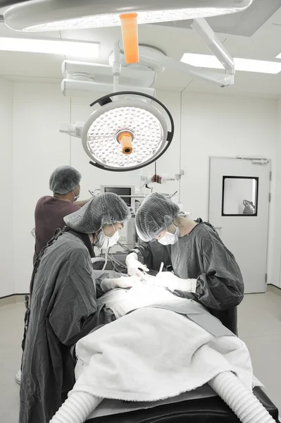 Groupe de chirurgie vétérinaire en salle d'opération — Photo