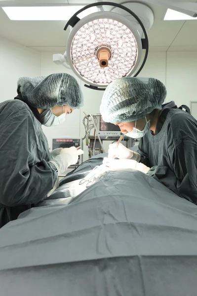 Twee dierenartsen in de operatiekamer — Stockfoto