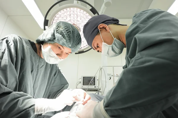 Two veterinarian surgeons in operating room — Stock Photo, Image