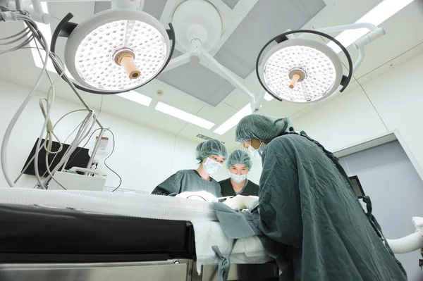 Groep van dierenarts chirurgie in operatie kamer — Stockfoto