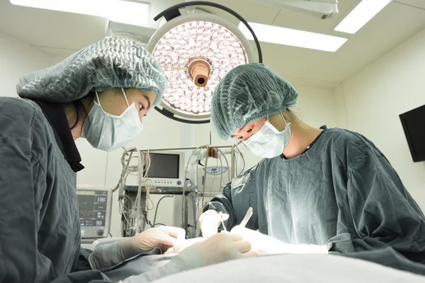 Dos veterinarios en quirófano — Foto de Stock