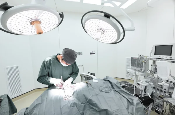 Κτηνίατρος χειρουργική επέμβαση σε λειτουργία δωμάτιο — Φωτογραφία Αρχείου