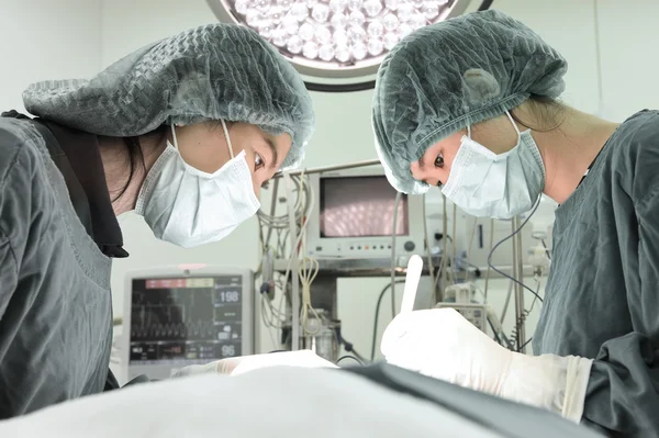 Twee dierenartsen in de operatiekamer — Stockfoto