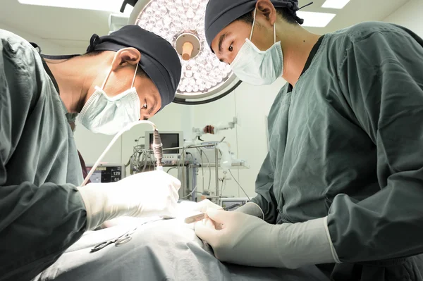 Two veterinarian surgeons in operating room — Stock Photo, Image