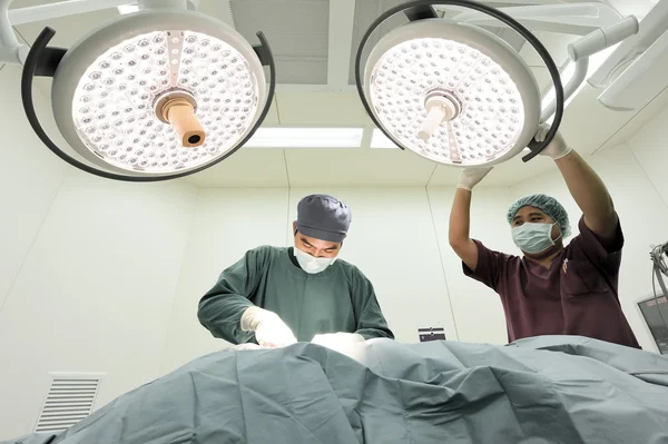 Two veterinarian surgeons in operating room — Stock Photo, Image