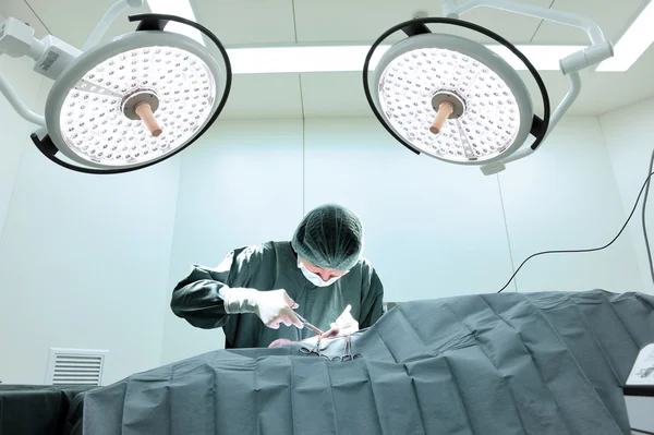 Veterinarian surgery in operation room — Stock Photo, Image