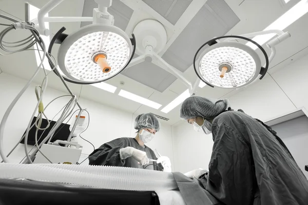 Two veterinarian surgeons in operating room — Stock Photo, Image