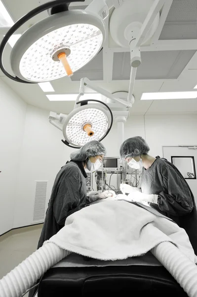 Two veterinarian surgeons in operating room — Stock Photo, Image