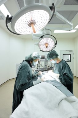 Ameliyathanede iki veteriner cerrah var. 