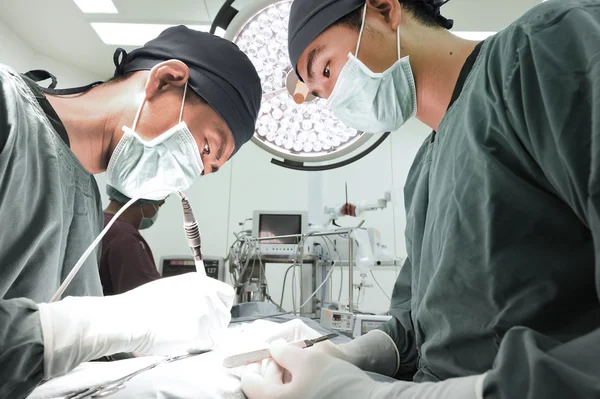 Groep van dierenarts chirurgie in operatie kamer — Stockfoto