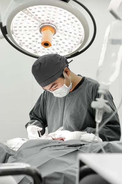 兽医外科手术室 — 图库照片