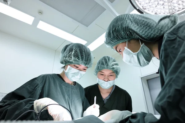 Groupe de chirurgie vétérinaire en salle d'opération — Photo