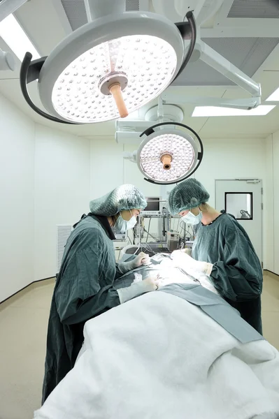 Dois cirurgiões veterinários na sala de operações — Fotografia de Stock