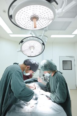 Ameliyathanede iki veteriner cerrah var. 